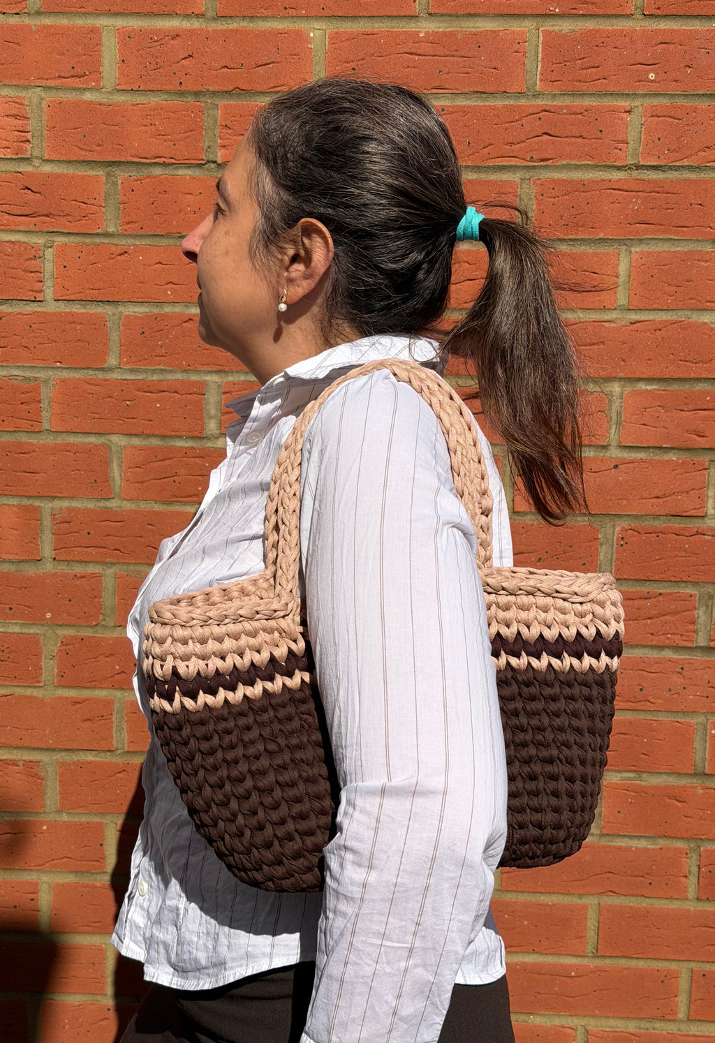 Brown & Beige Darla Shoulder bag